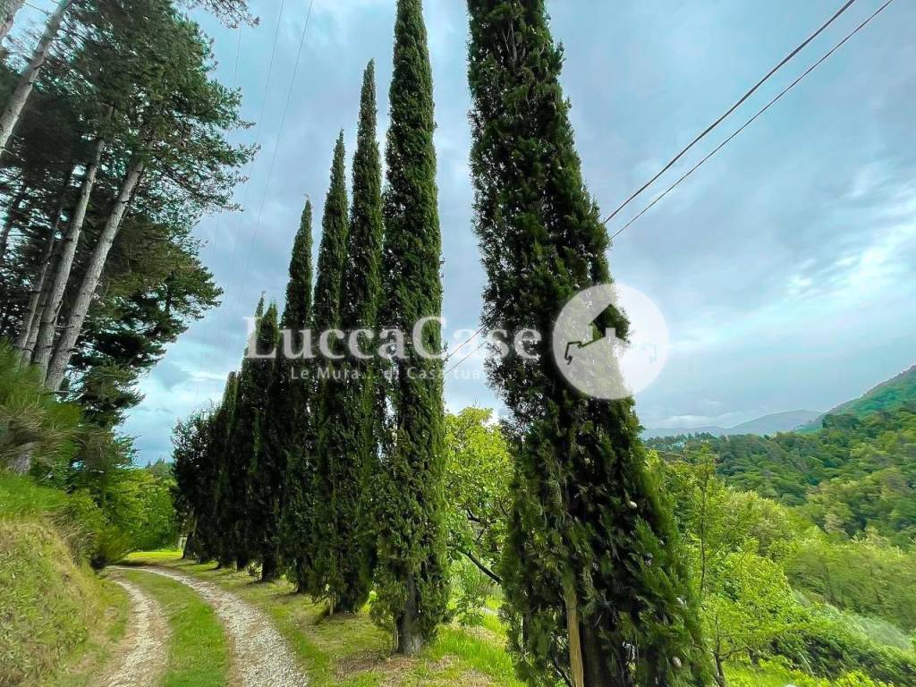 Rustico / casale a Lucca in Via di Vicopelago, - Foto 4