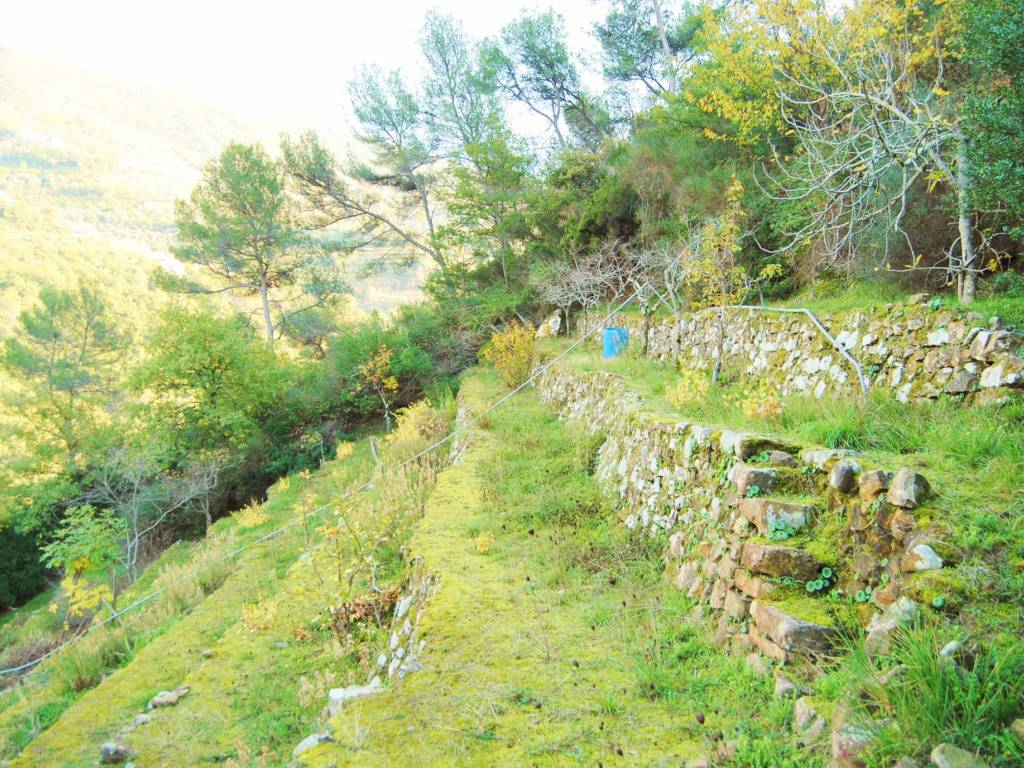 Villa a Soldano - Foto 4