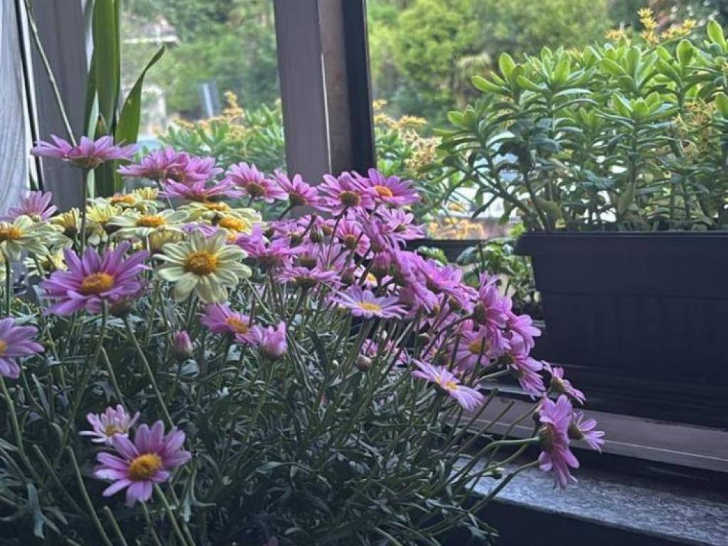 Appartamento a Induno olona in via Porro, 23 - Foto 2