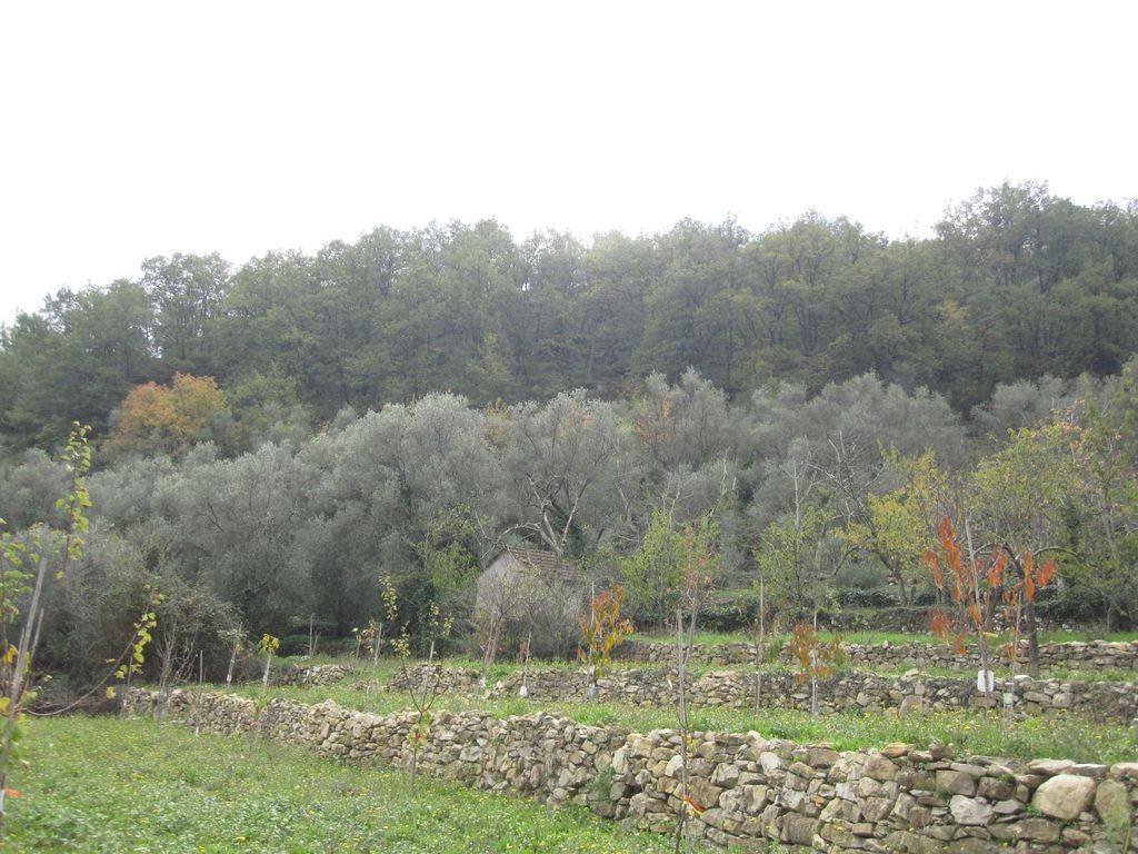Terreno a Chiusavecchia in Via Strada Piani, 2 - Foto 3