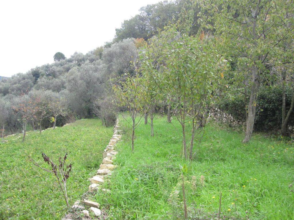 Terreno a Chiusavecchia in Via Strada Piani, 2 - Foto 4