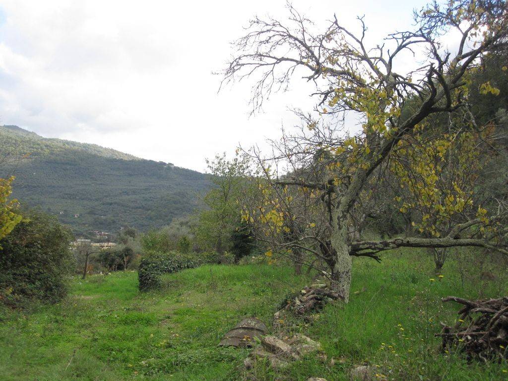 Terreno a Chiusavecchia in Via Strada Piani, 2 - Foto 5