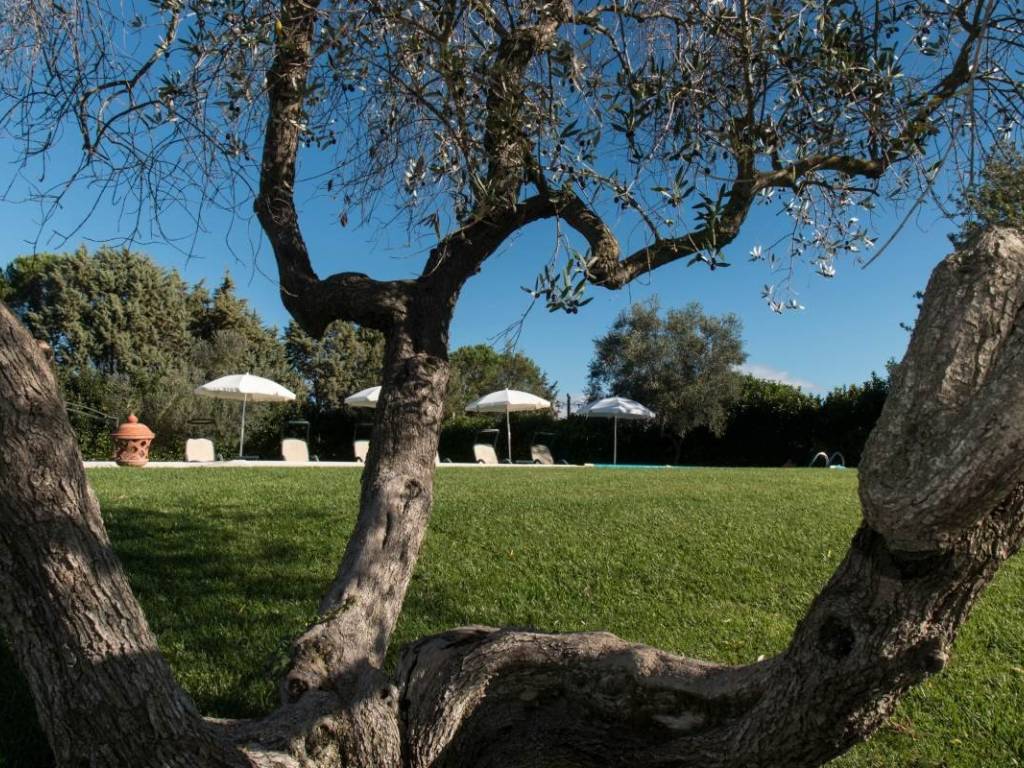 Rustico / casale a Magliano in toscana - Foto 4