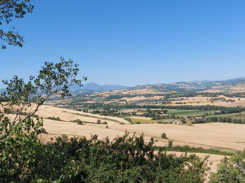 Villa a Corinaldo - Foto 4