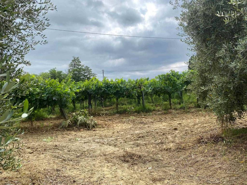 Immobile a San gimignano - Foto 4