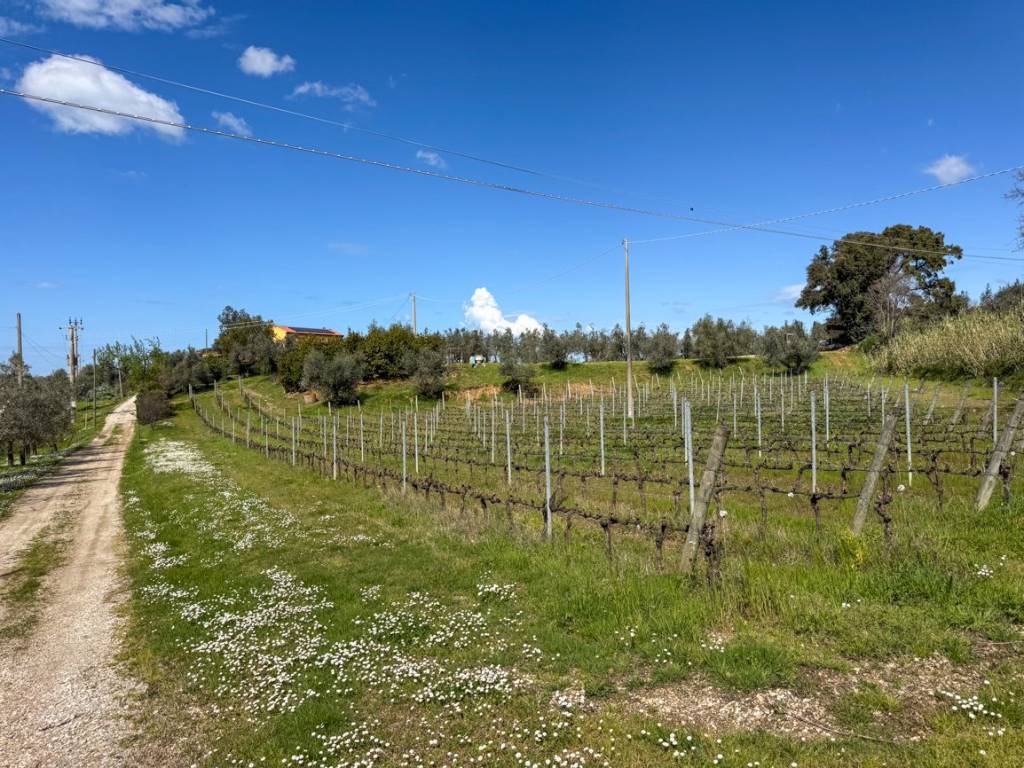 Villa a Castagneto carducci - Foto 4