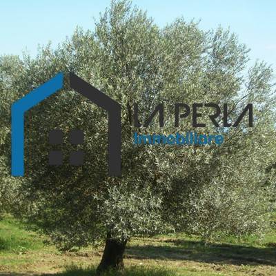 Terreno a Cerignola in Olmo - Foto 3