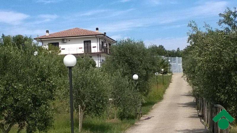 Terreno a Lattarico in Via XX Settembre, 26 - Foto 3