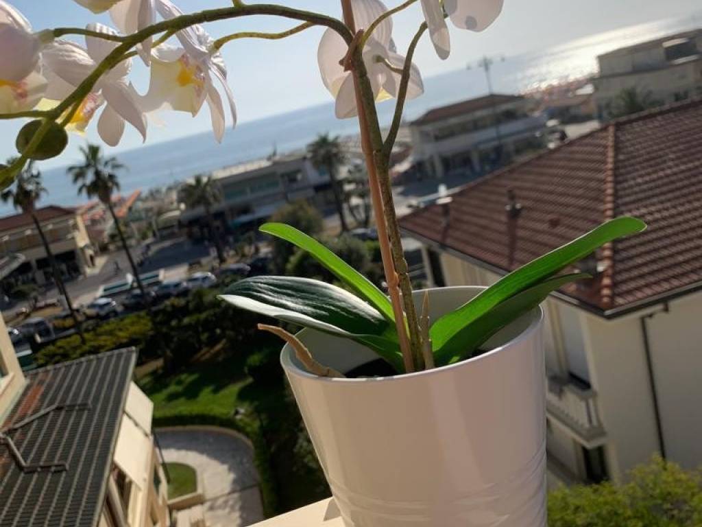 Appartamento a Viareggio - Foto 2