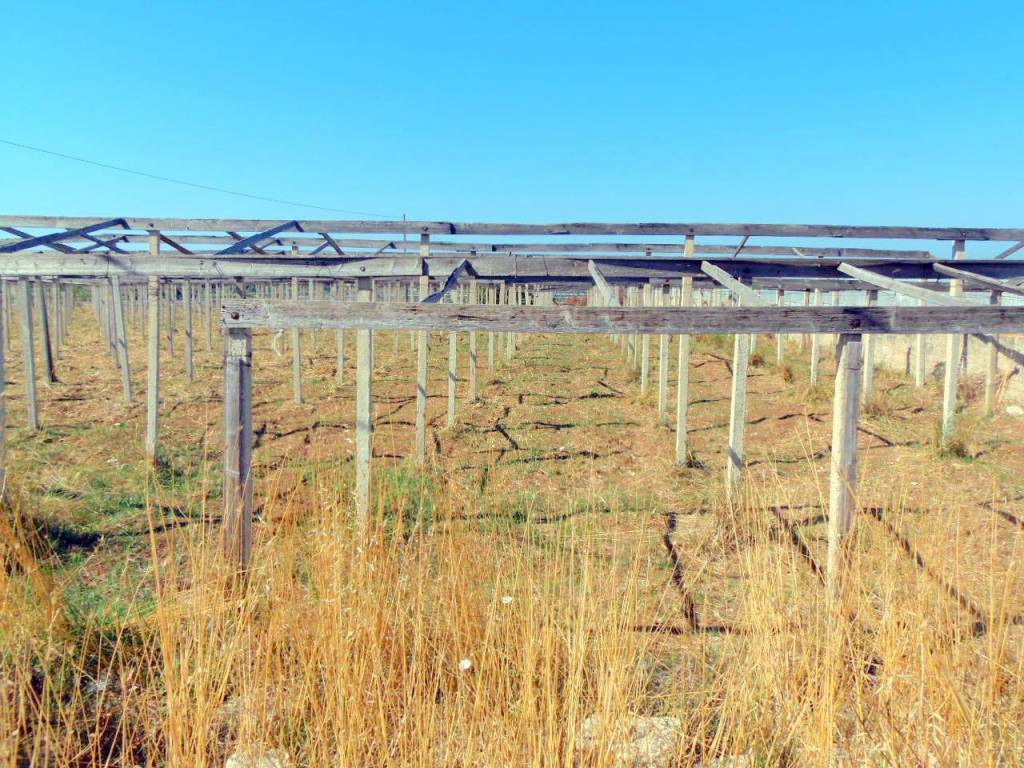 Terreno a Santa croce camerina in Strada Provinciale 85, 208 - Foto 4