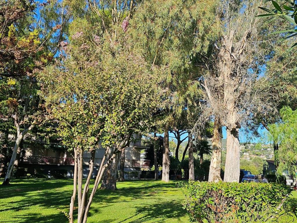 Appartamento a Bordighera in Via Cagliari, 5 - Foto 3