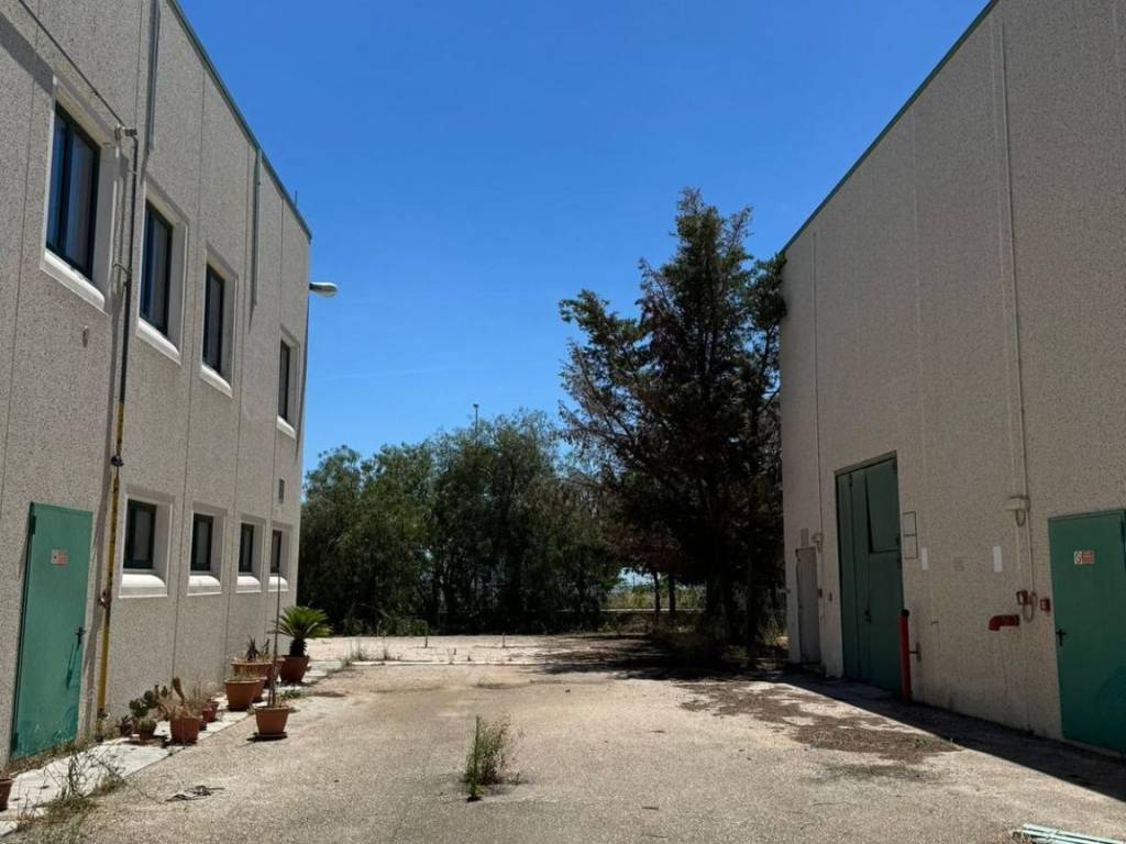 Immobile a Manfredonia in Viale Archimede - Foto 3