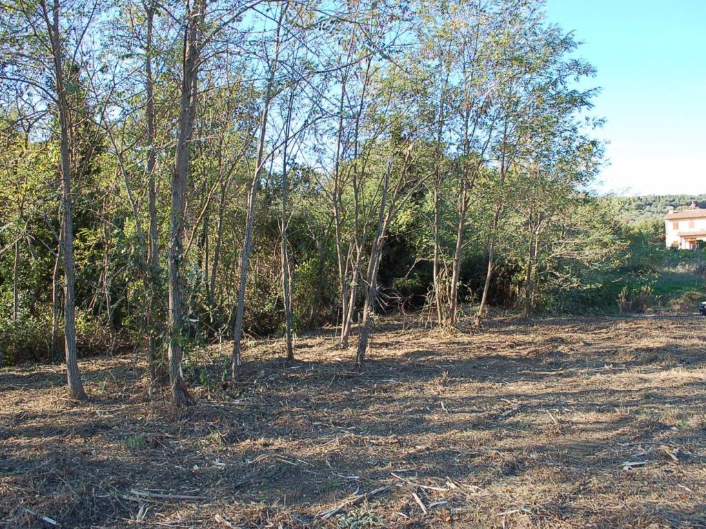 Terreno a Tuoro sul trasimeno in Via Giovanni Pascoli - Foto 4