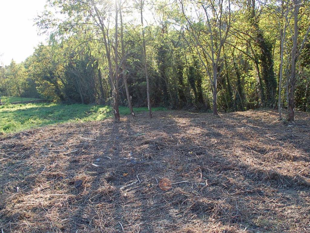 Terreno a Tuoro sul trasimeno in Via Giovanni Pascoli - Foto 5