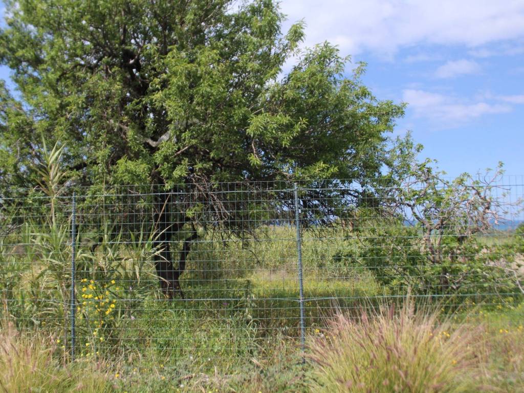 Terreno a Campofelice di roccella in Contrada Calzata - Foto 3