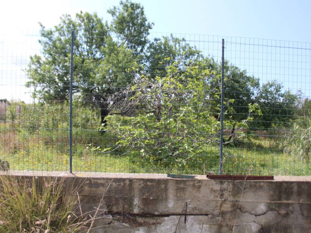 Terreno a Campofelice di roccella in Contrada Calzata - Foto 5