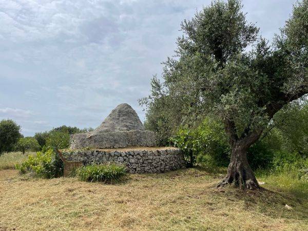 Rustico / casale a San michele salentino in Via San Michele Arcangelo - Foto 4