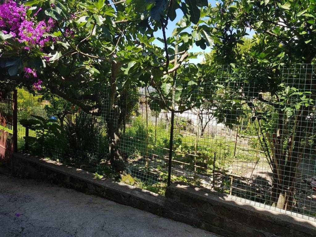 Rustico / casale a Caiazzo in Via San Giovanni e Paolo - Foto 4