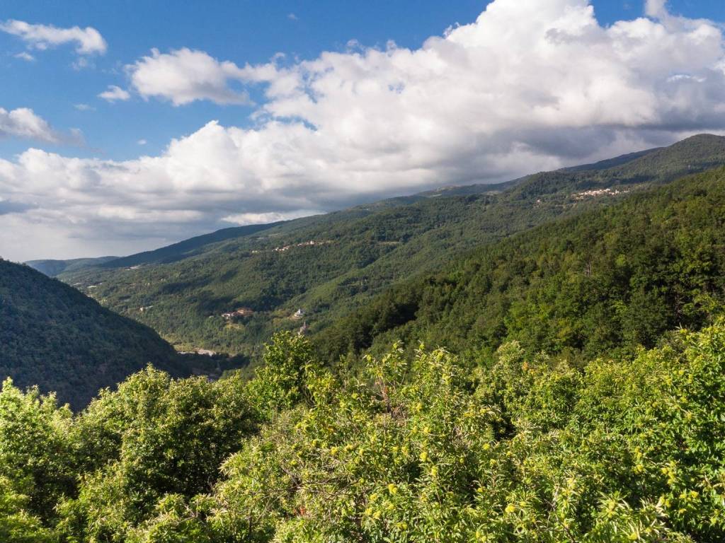 Rustico / casale a Cabella ligure in Località Piancereto - Foto 2