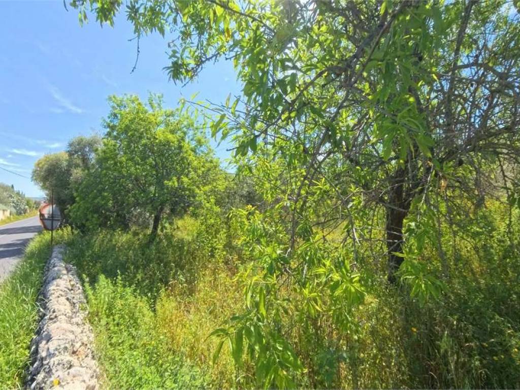 Terreno a Noto - Foto 3