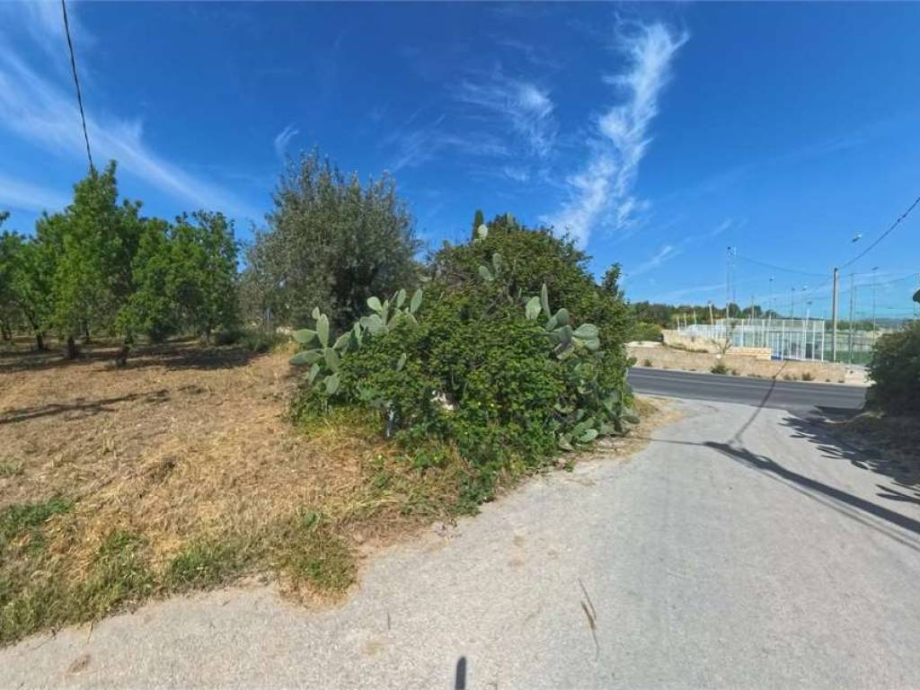Terreno a Noto - Foto 4