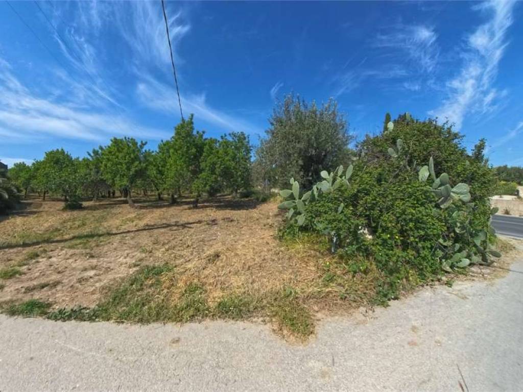 Terreno a Noto - Foto 5
