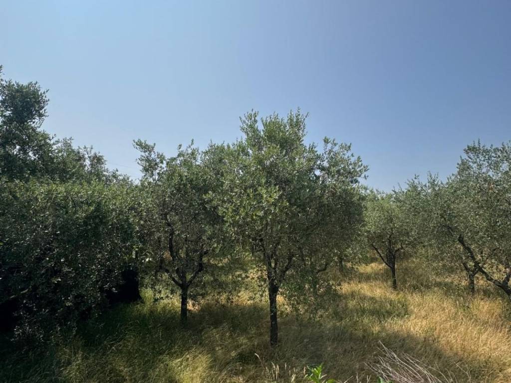 Terreno a Pistoia in Via Brescandola, 10 - Foto 2