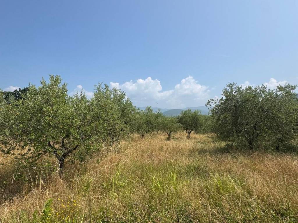 Terreno a Pistoia in Via Brescandola, 10 - Foto 3