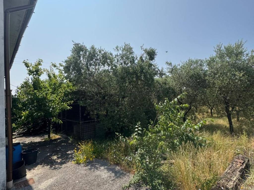 Terreno a Pistoia in Via Brescandola, 10 - Foto 4