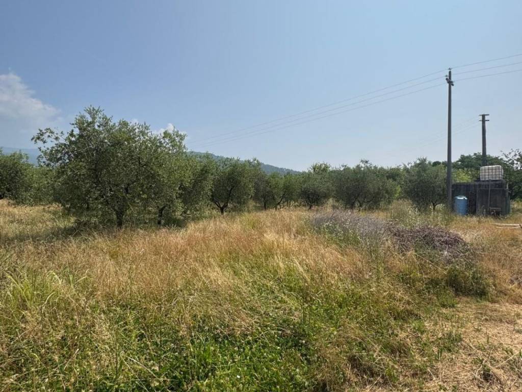Terreno a Pistoia in Via Brescandola, 10 - Foto 5