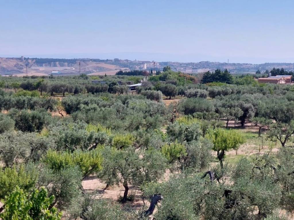 Villa a Lucera in Contrada Berardinone - Foto 3