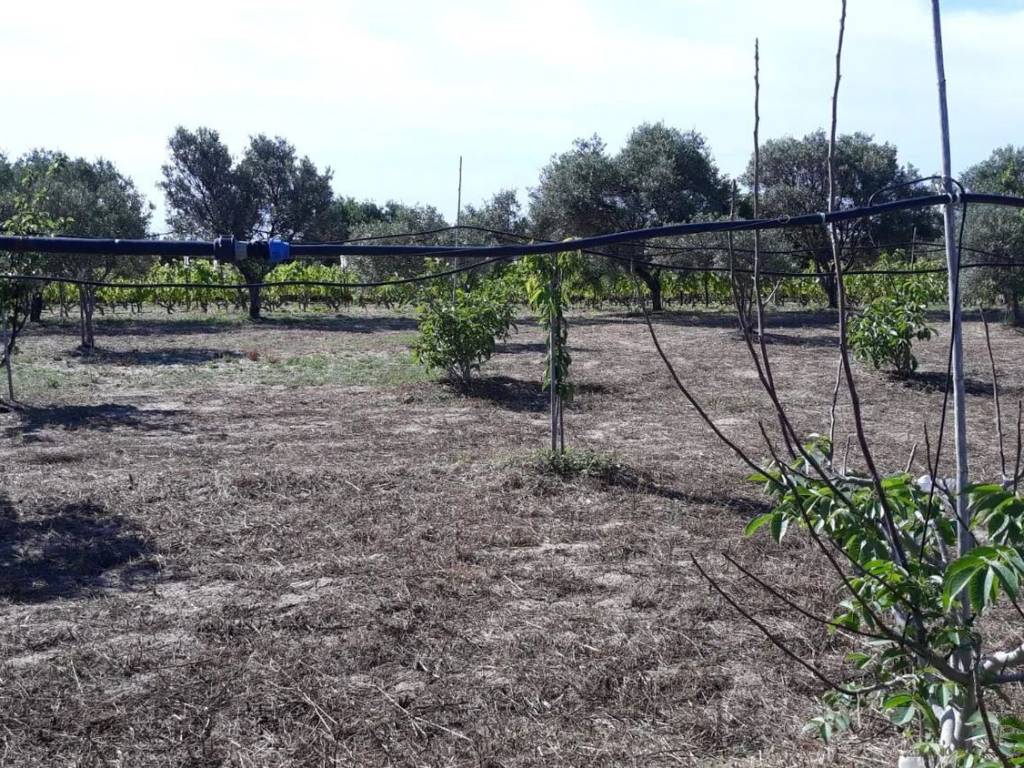Terreno a San giovanni suergiu in Is Loccis Santus, 1 - Foto 2