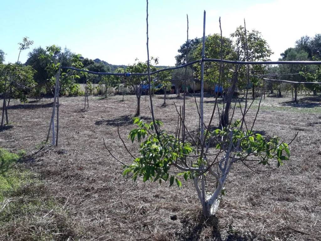 Terreno a San giovanni suergiu in Is Loccis Santus, 1 - Foto 3