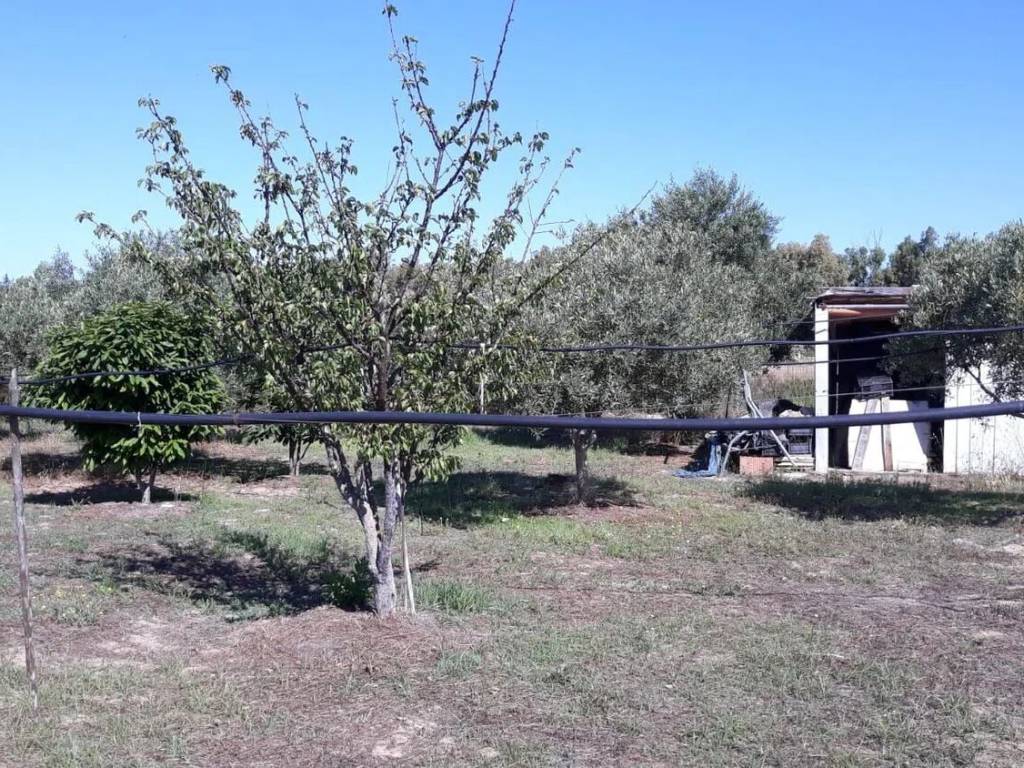 Terreno a San giovanni suergiu in Is Loccis Santus, 1 - Foto 4
