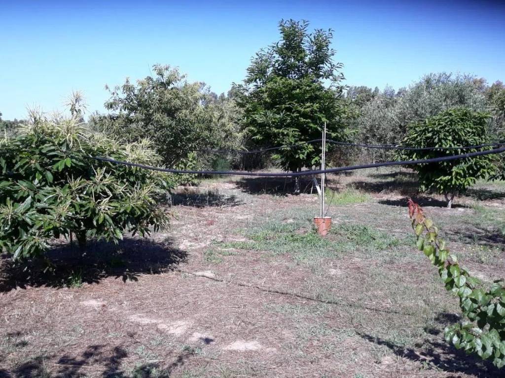 Terreno a San giovanni suergiu in Is Loccis Santus, 1 - Foto 5