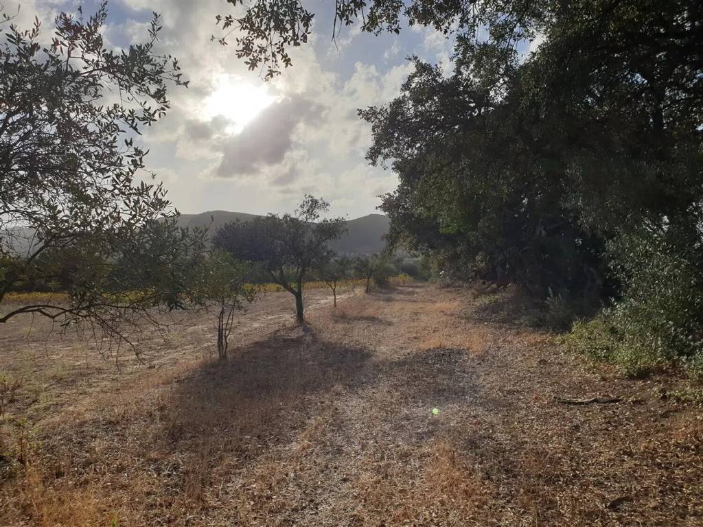Terreno a Carbonia in Is Perdas S.N.C. - Foto 3