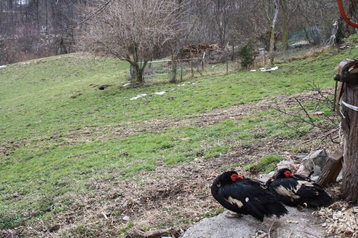 Rustico / casale a Centro valle intelvi in Strada Provinciale 13, 185 - Foto 4