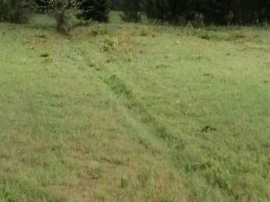 Rustico / casale a Quarrata - Foto 2