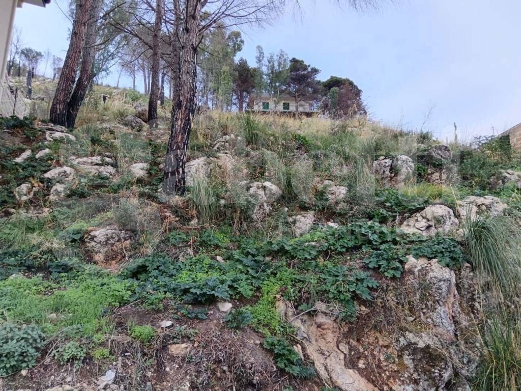 Terreno a Altofonte in Contrada Moardella, snc - Foto 2