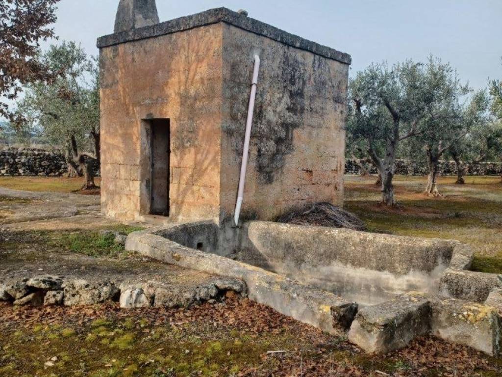Rustico / casale a Fasano in Contrada Ottava - Foto 3