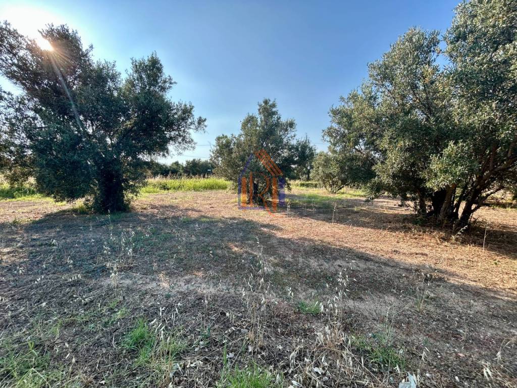 Terreno a Soverato in Via Santicelli, 22 - Foto 2