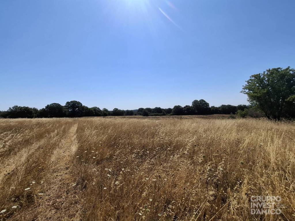 Terreno a Ostuni in Contrada Settarte - Foto 3