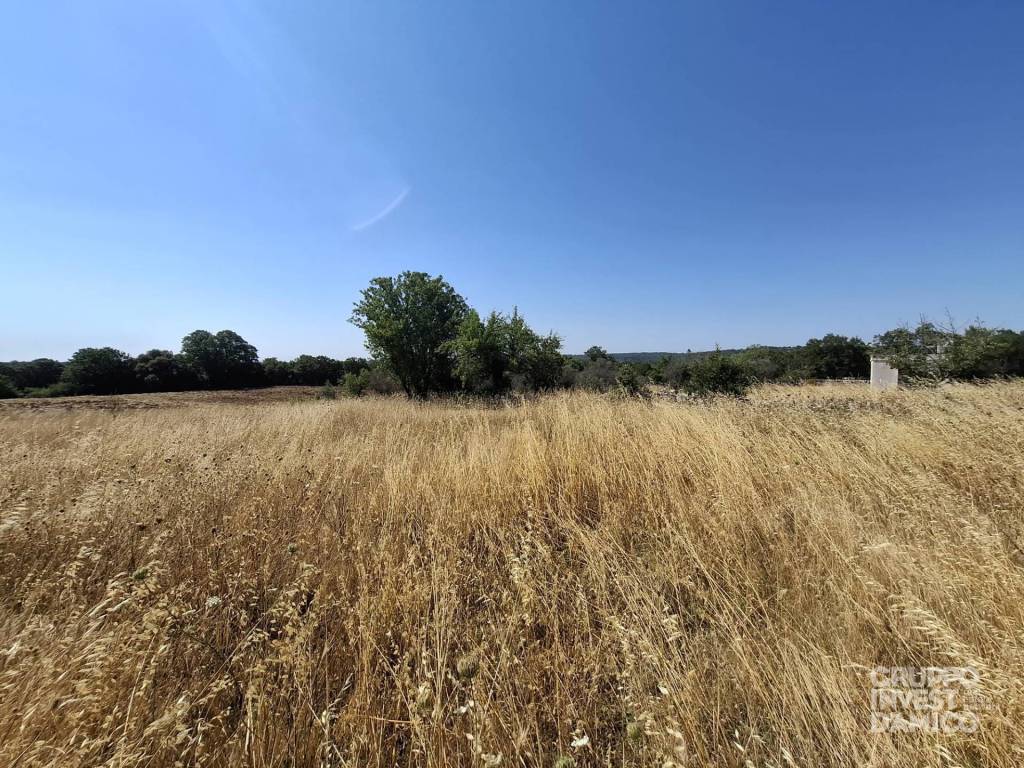 Terreno a Ostuni in Contrada Settarte - Foto 5