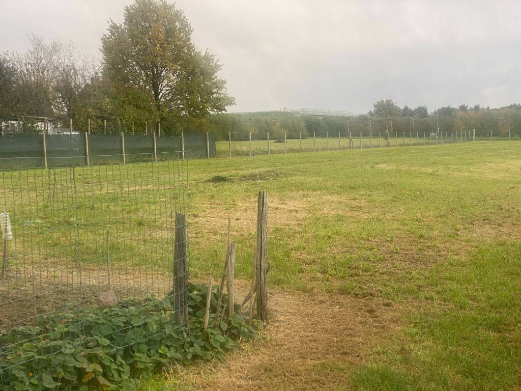 Terreno a Imola - Foto 2
