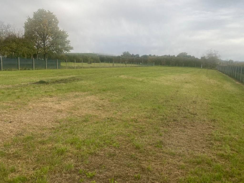 Terreno a Imola - Foto 5