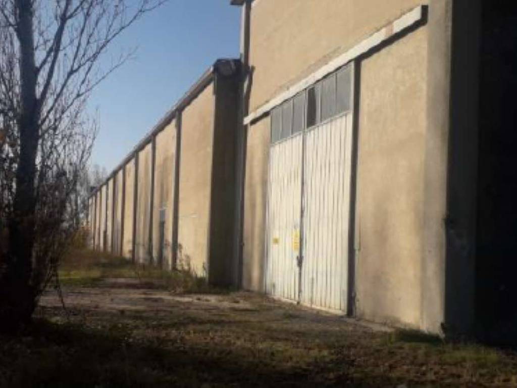 Immobile a Conselice in via Via Guglielma 41B - Foto 5