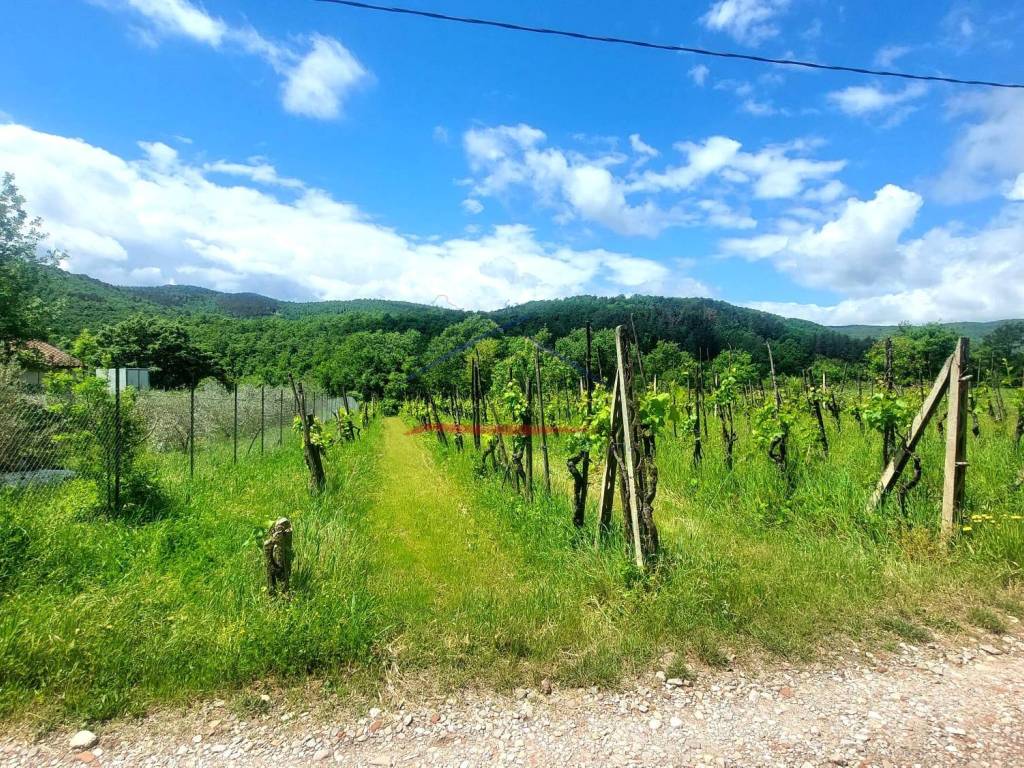 Terreno a Capolona - Foto 3