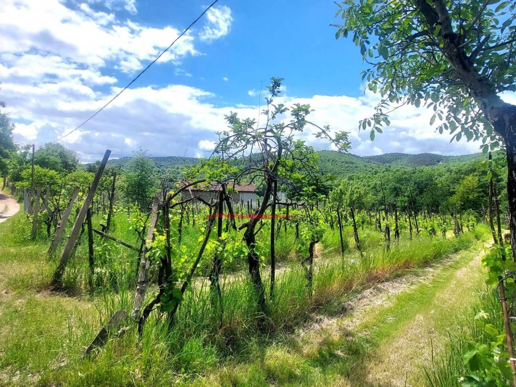 Terreno a Capolona - Foto 4