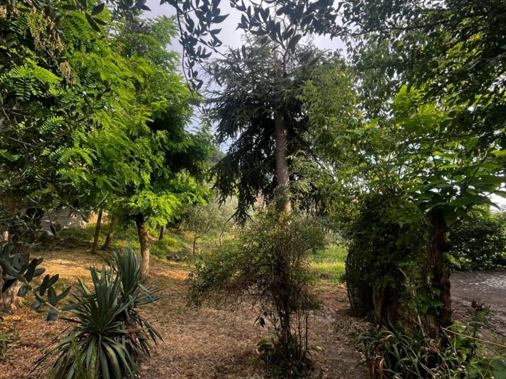 Appartamento a Pago veiano in Via Piane - Foto 2