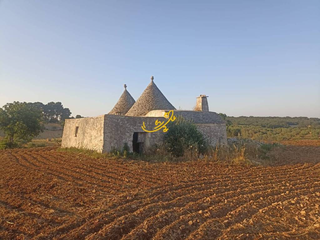 Rustico / casale a Martina franca in C.da Carpari - Foto 5